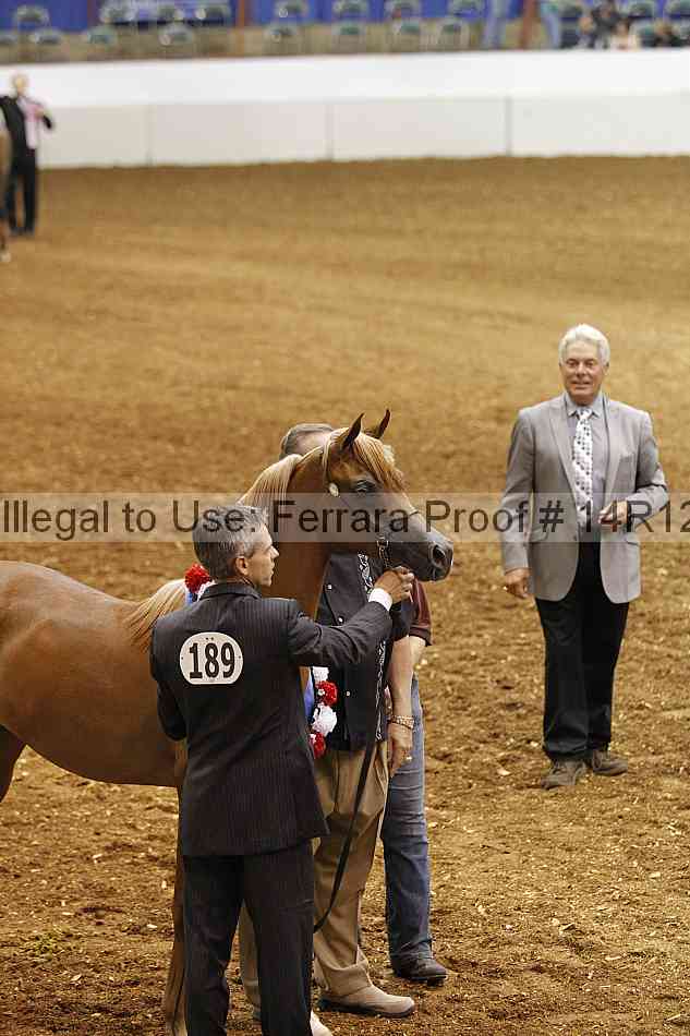 Proof Number 14r12_6279