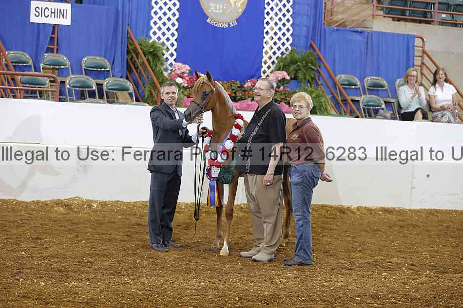 Proof Number 14r12_6283