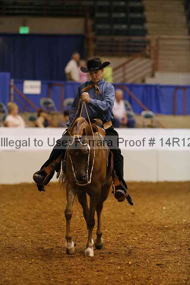 Proof Number 14r12_6344