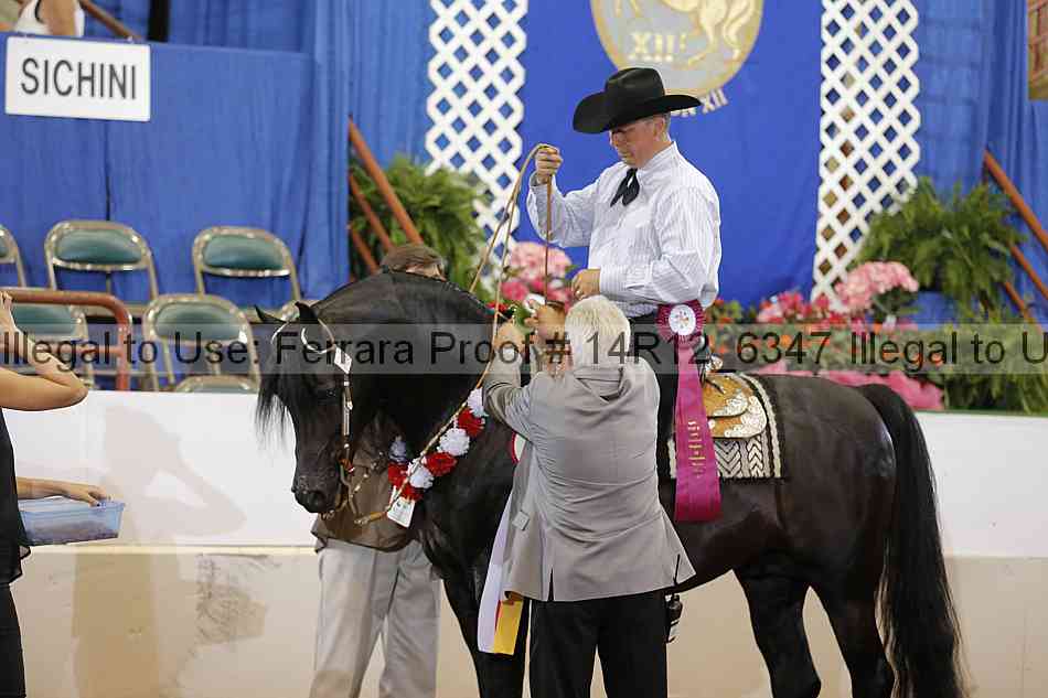 Proof Number 14r12_6347