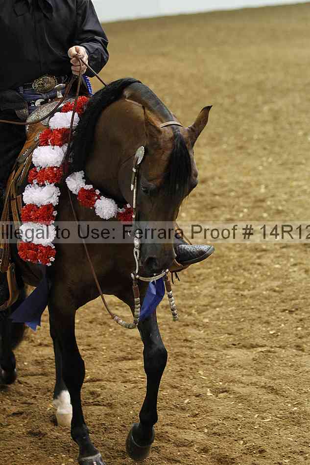 Proof Number 14r12_6361