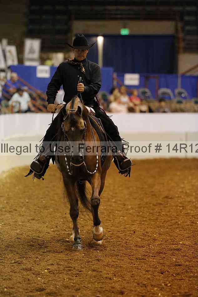 Proof Number 14r12_6375