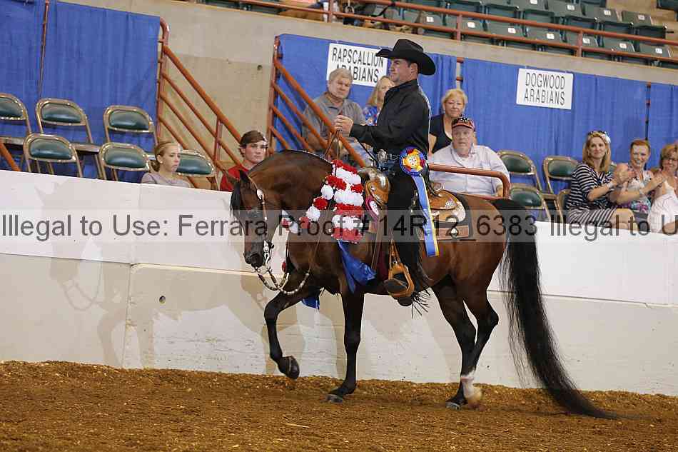 Proof Number 14r12_6383