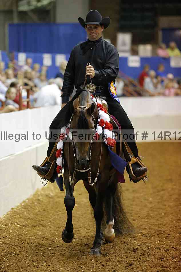 Proof Number 14r12_6390