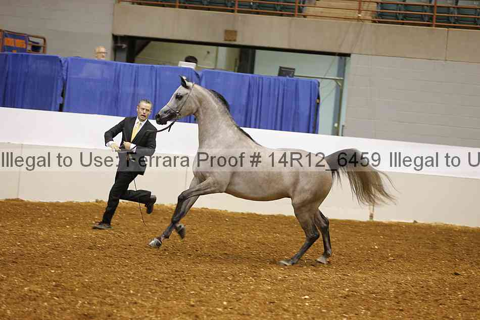Proof Number 14r12_6459