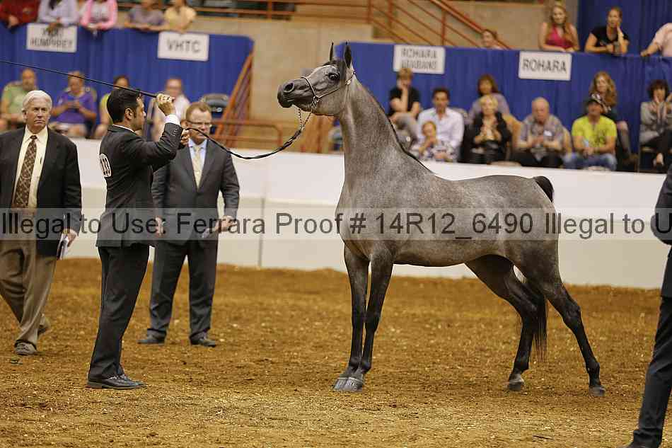 Proof Number 14r12_6490