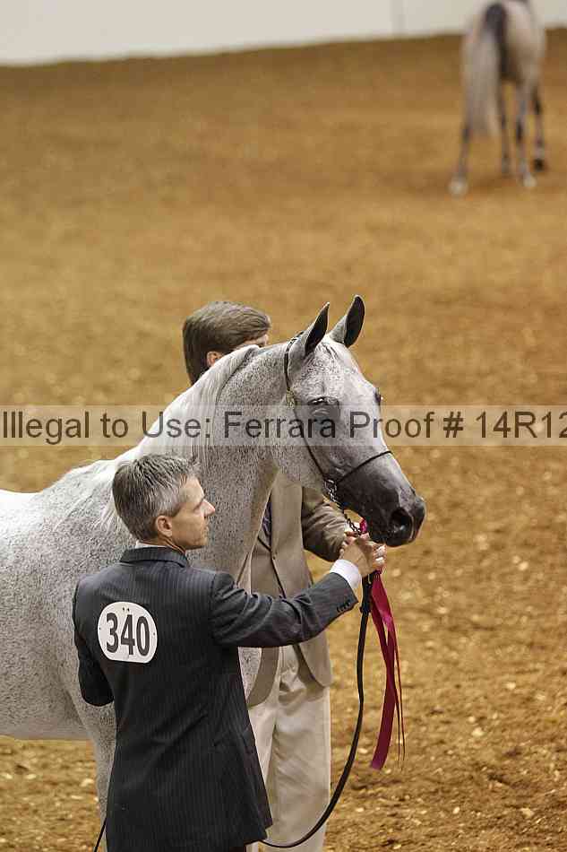 Proof Number 14r12_6498