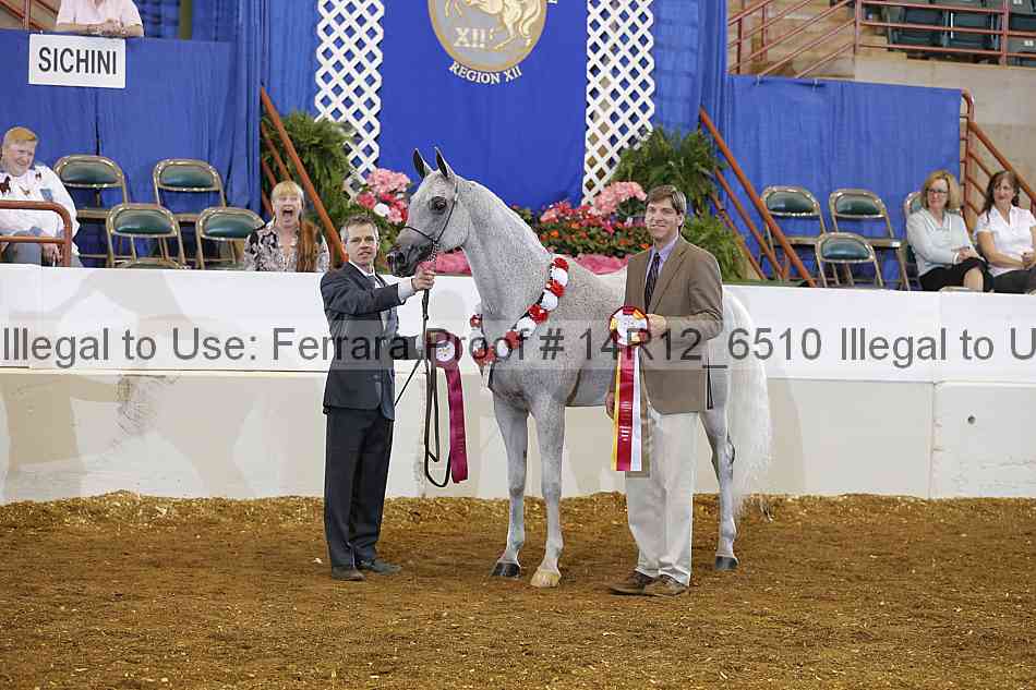 Proof Number 14r12_6510