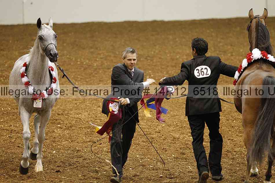 Proof Number 14r12_6518