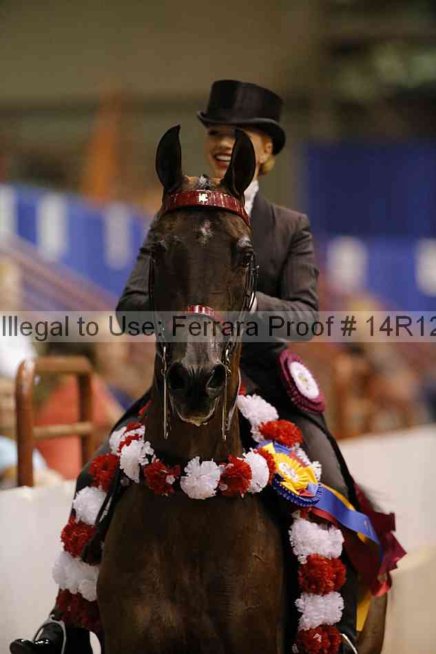 Proof Number 14r12_6548