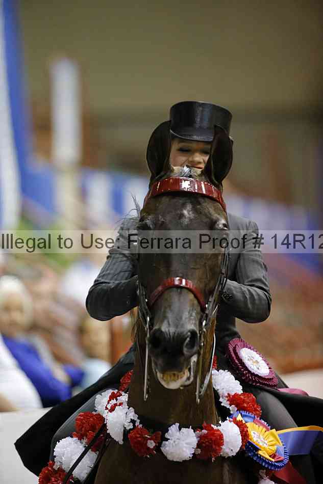 Proof Number 14r12_6549