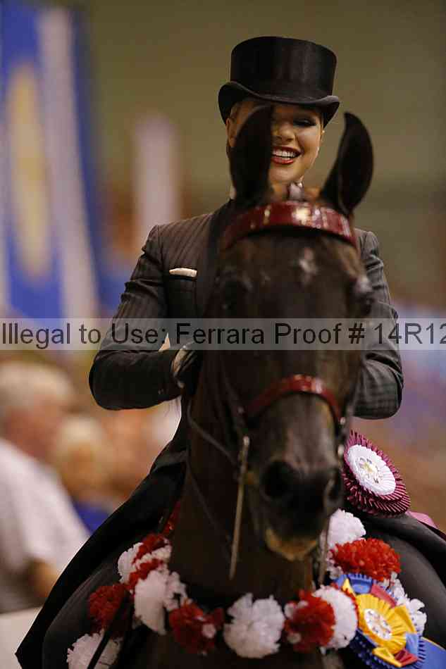 Proof Number 14r12_6550