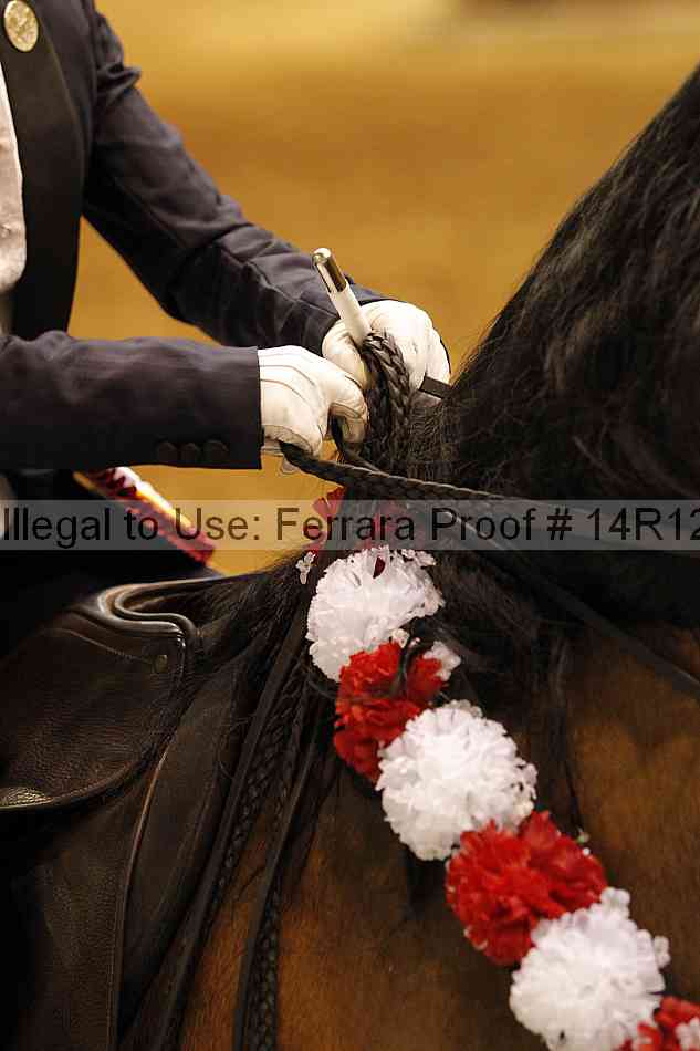 Proof Number 14r12_6578