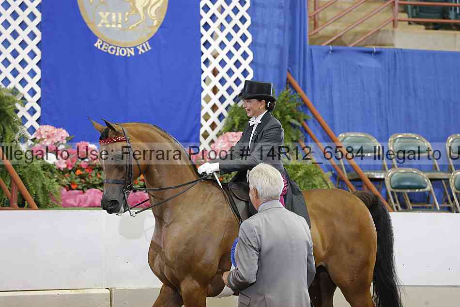 Proof Number 14r12_6584