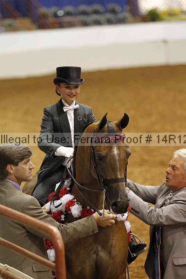 Proof Number 14r12_6585
