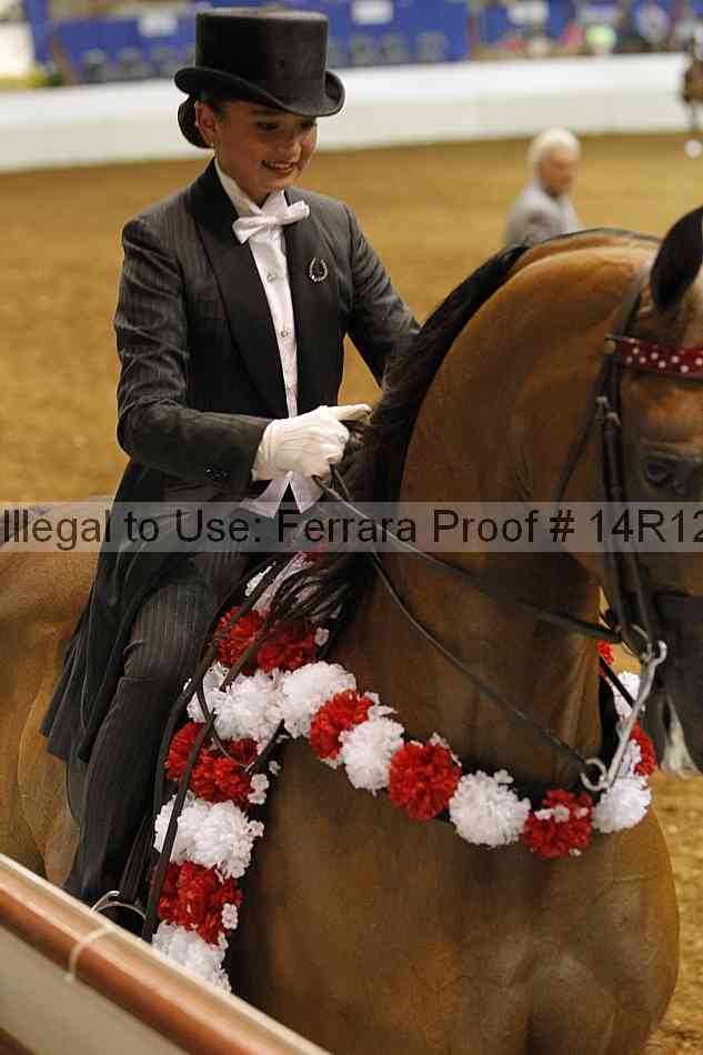 Proof Number 14r12_6590