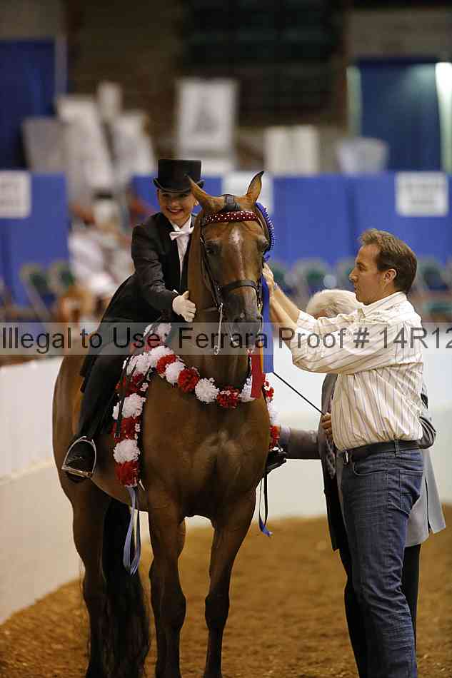 Proof Number 14r12_6594