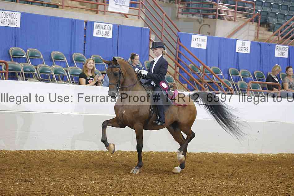 Proof Number 14r12_6597