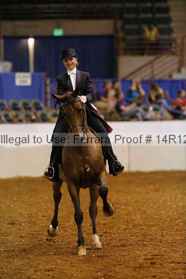 Proof Number 14r12_6600
