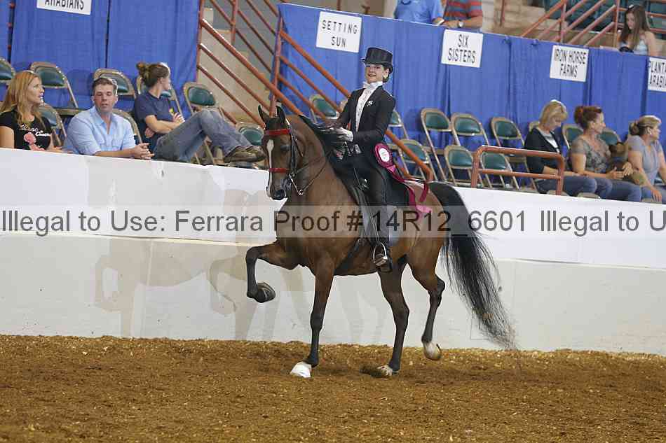 Proof Number 14r12_6601
