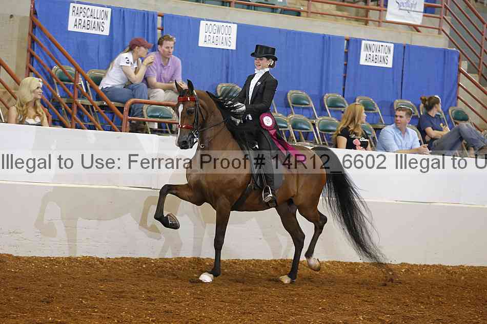 Proof Number 14r12_6602