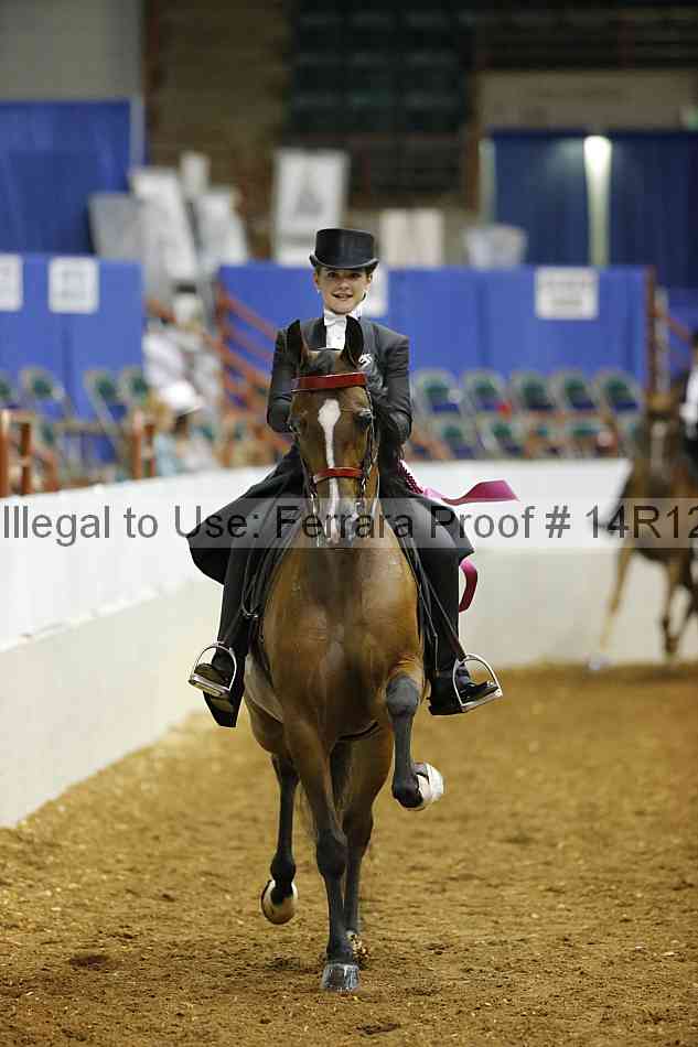 Proof Number 14r12_6607