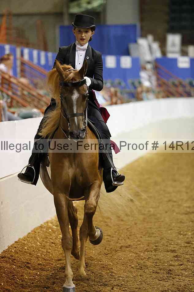 Proof Number 14r12_6609
