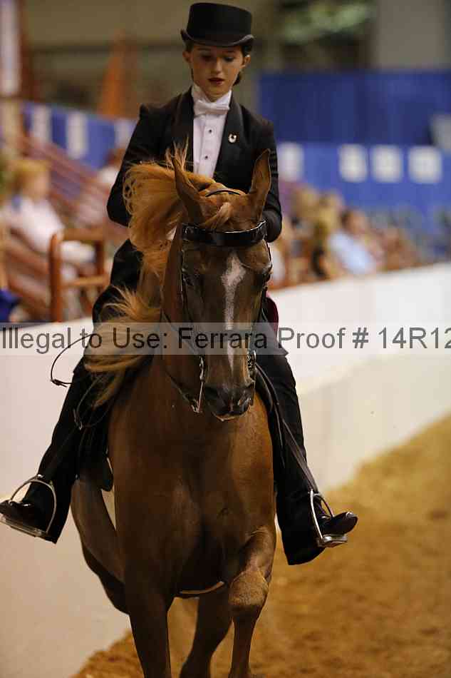 Proof Number 14r12_6610