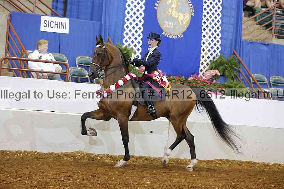 Proof Number 14r12_6612