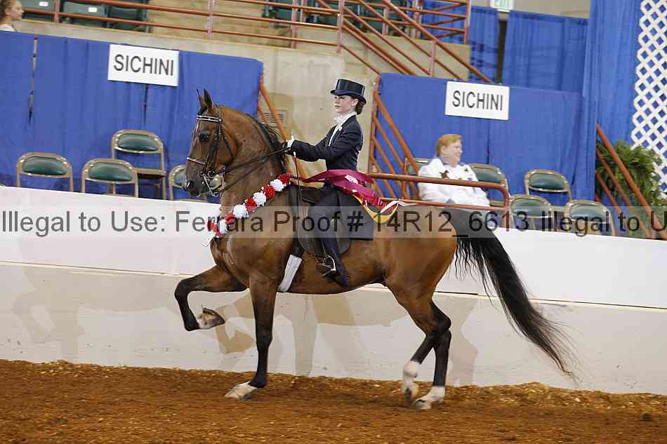 Proof Number 14r12_6613