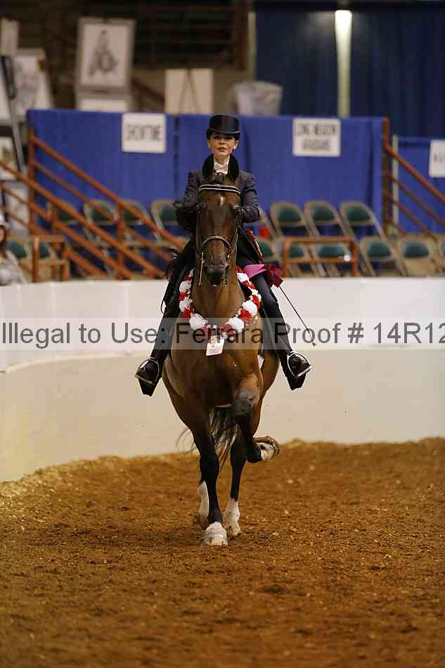 Proof Number 14r12_6614