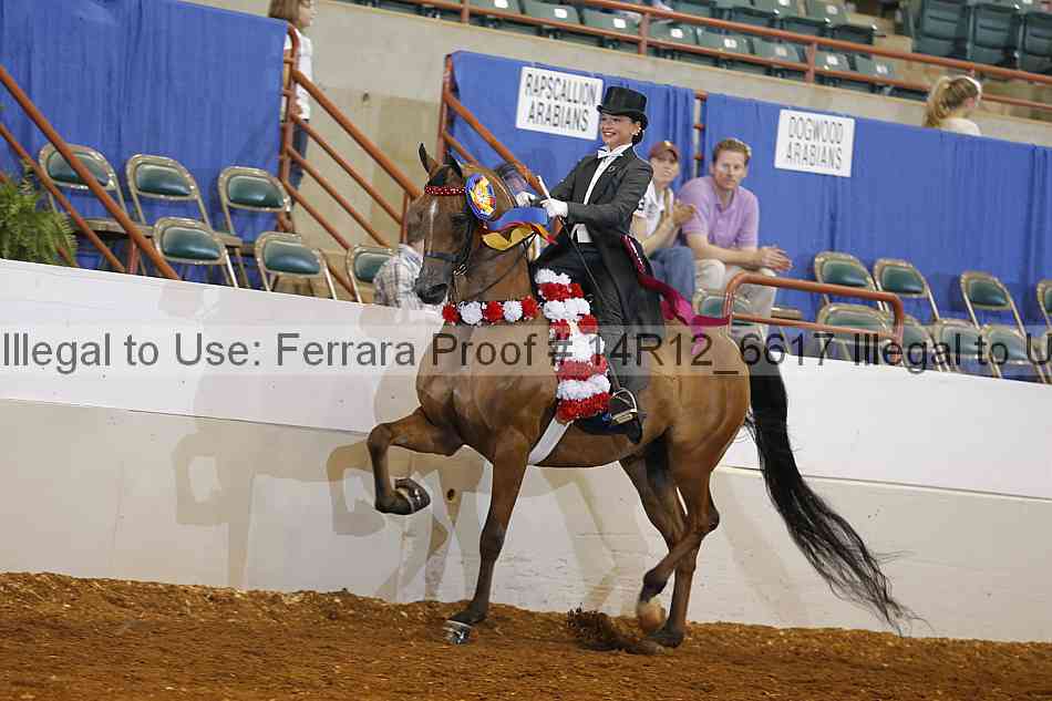 Proof Number 14r12_6617