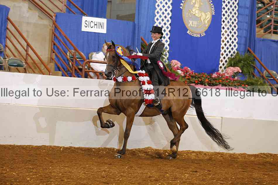 Proof Number 14r12_6618