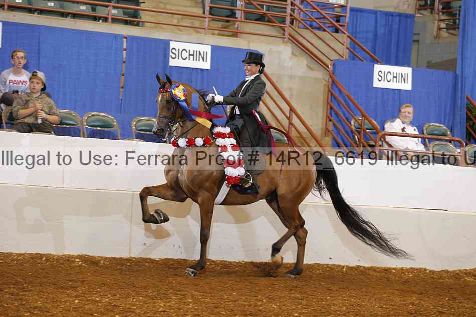 Proof Number 14r12_6619