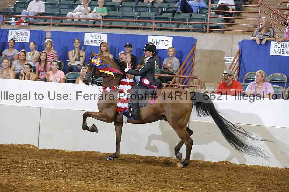 Proof Number 14r12_6621