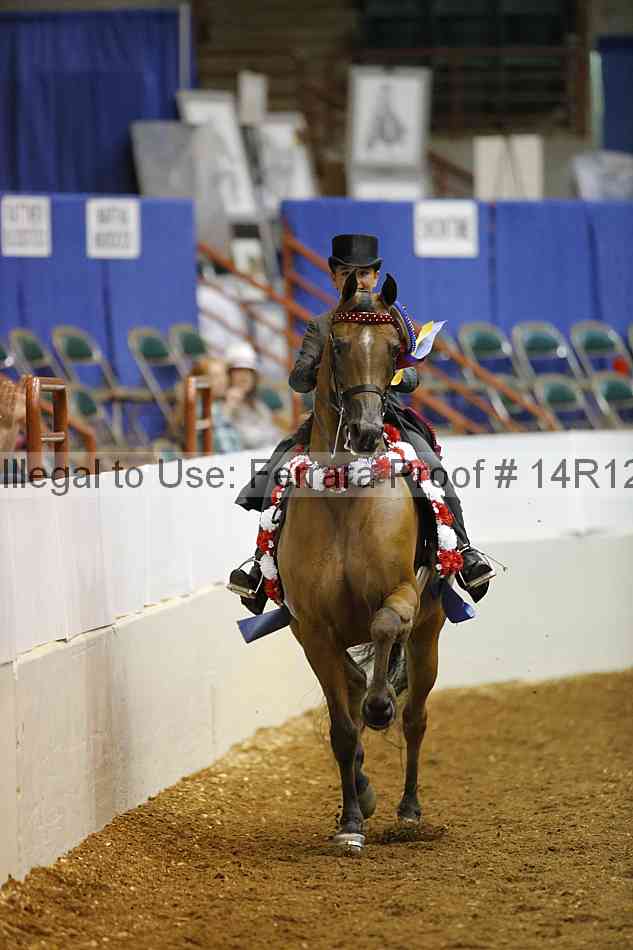 Proof Number 14r12_6622