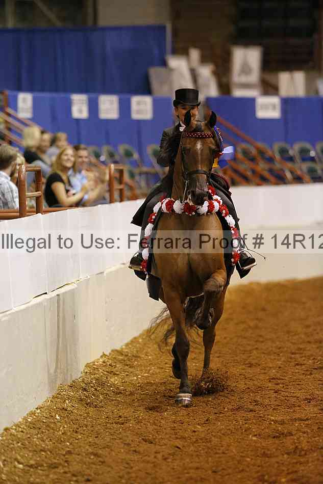 Proof Number 14r12_6623
