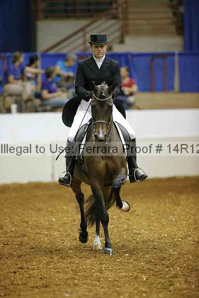 Proof Number 14r12_6632