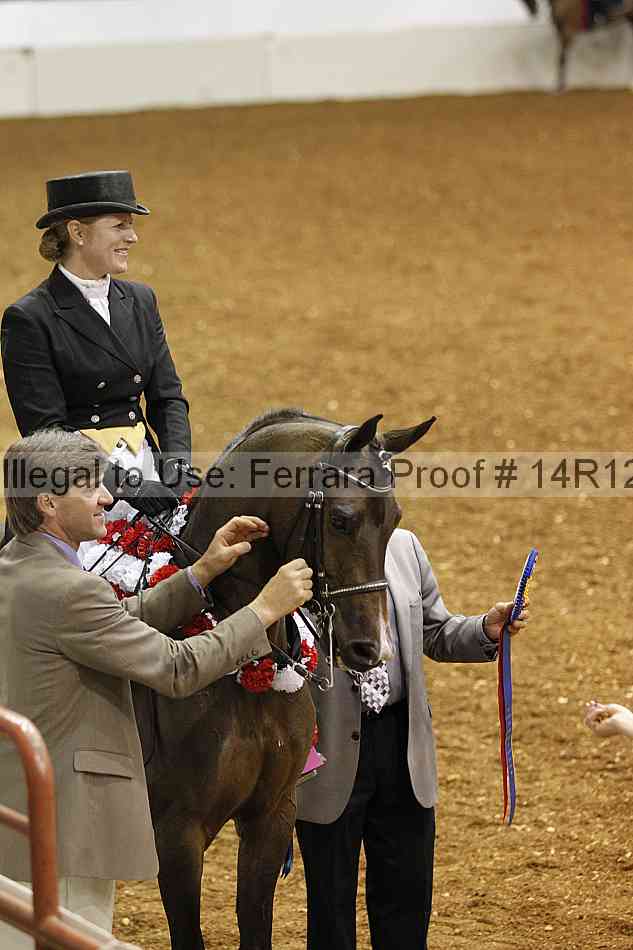 Proof Number 14r12_6647