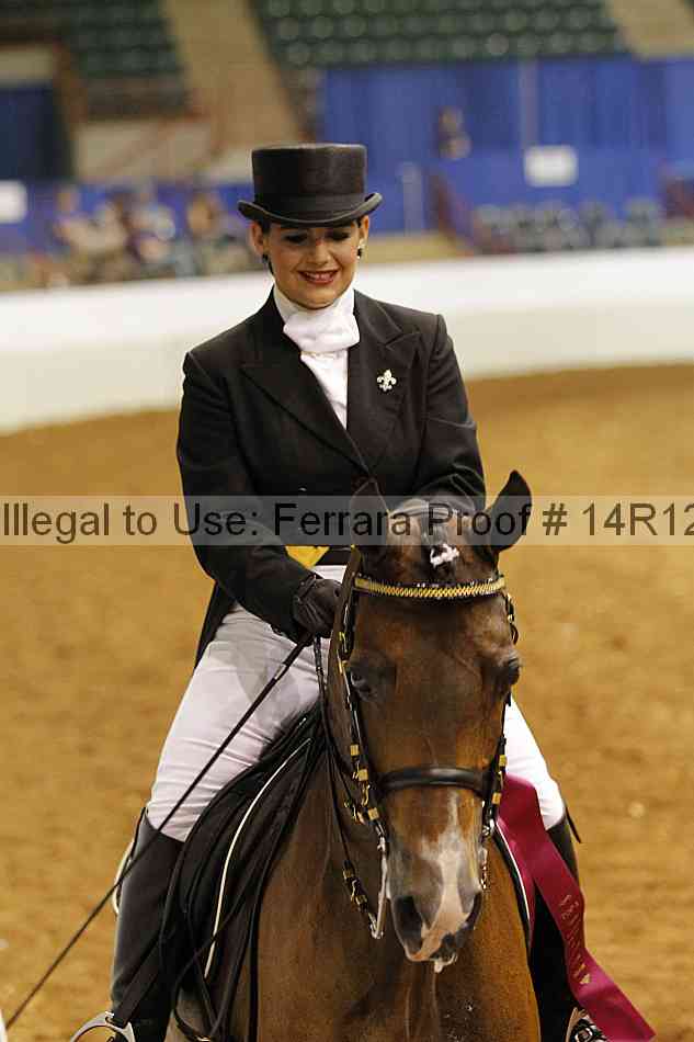 Proof Number 14r12_6653