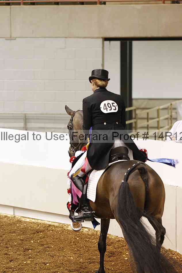 Proof Number 14r12_6663