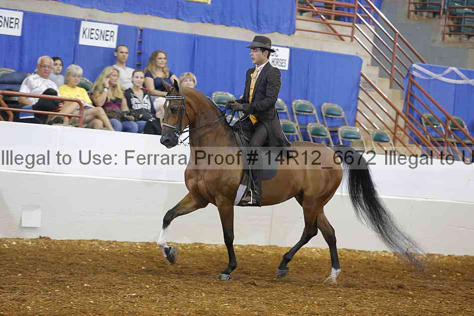Proof Number 14r12_6672