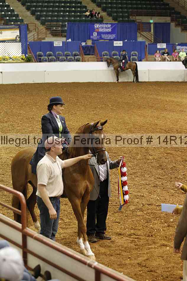 Proof Number 14r12_6703