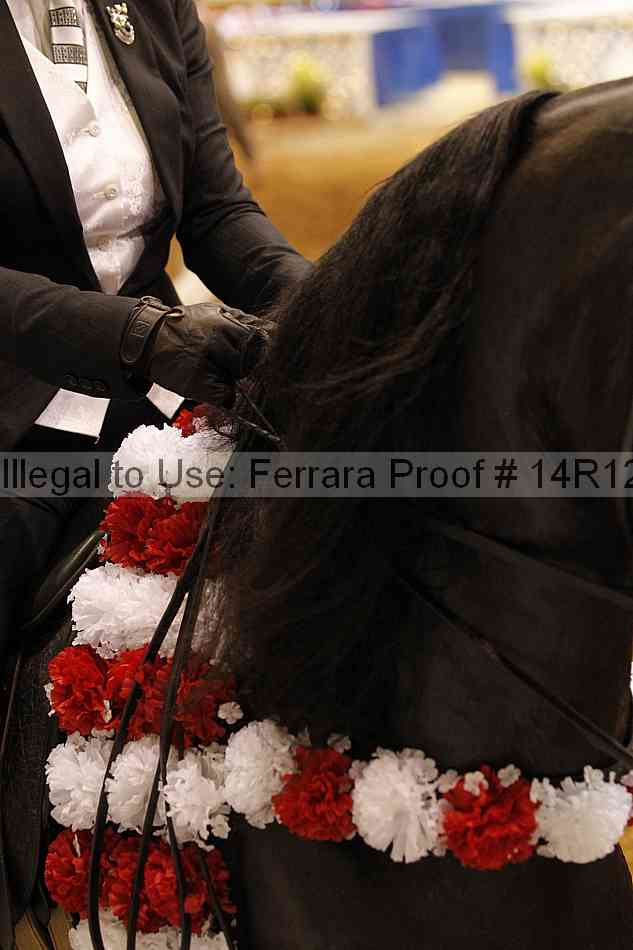 Proof Number 14r12_6719