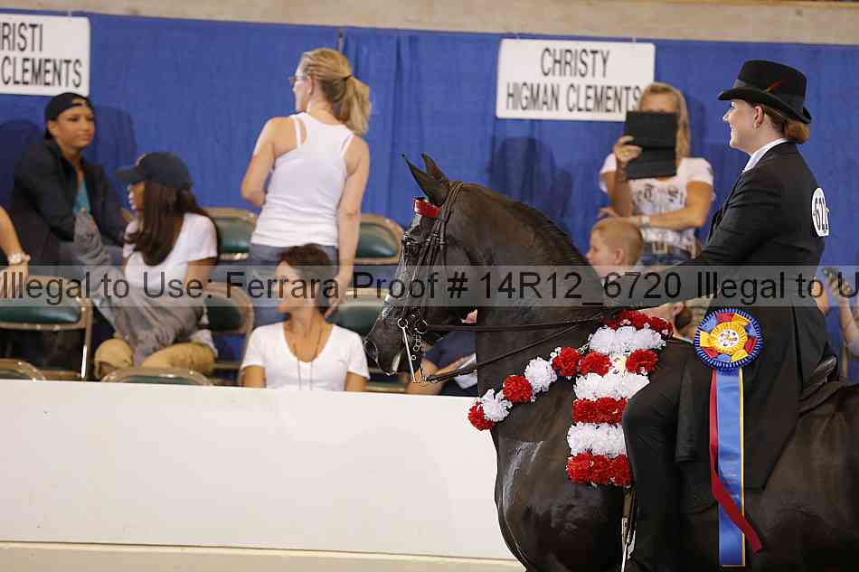 Proof Number 14r12_6720