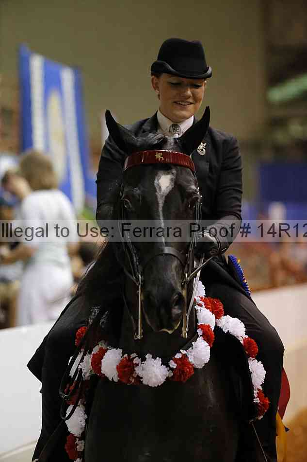 Proof Number 14r12_6722