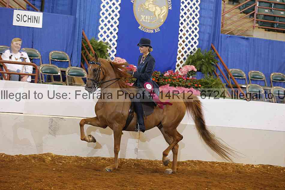 Proof Number 14r12_6724