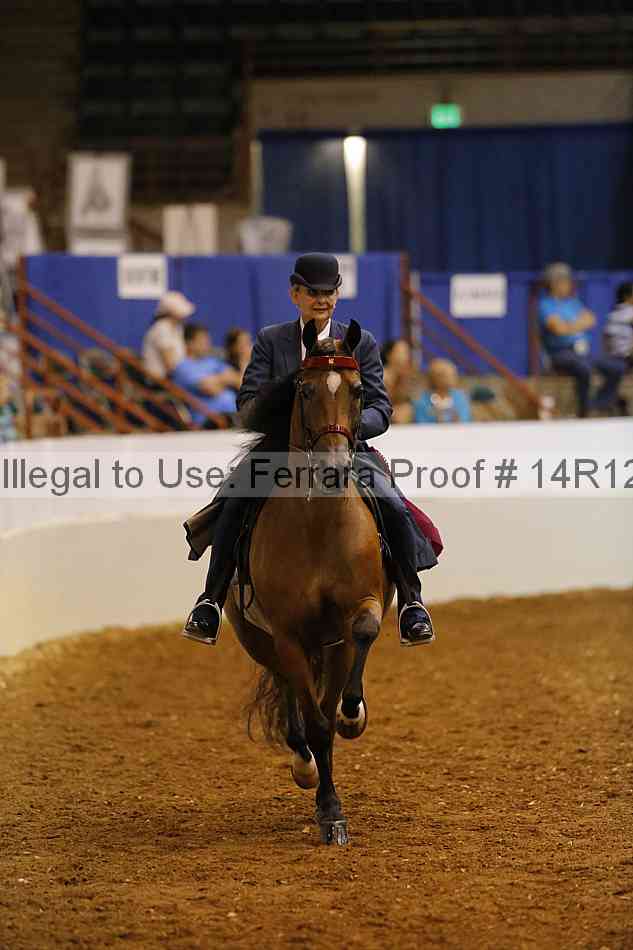 Proof Number 14r12_6734