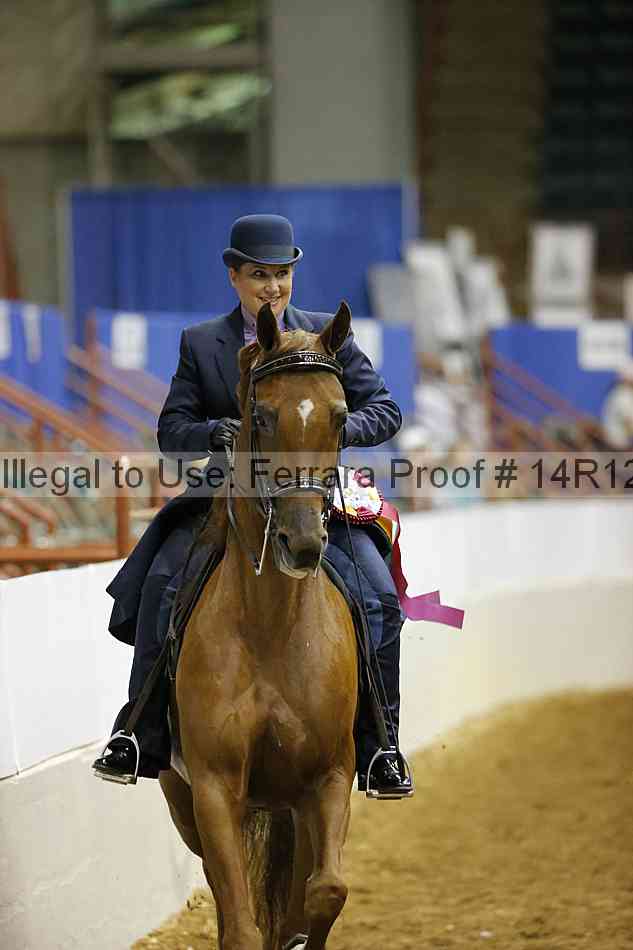 Proof Number 14r12_6741