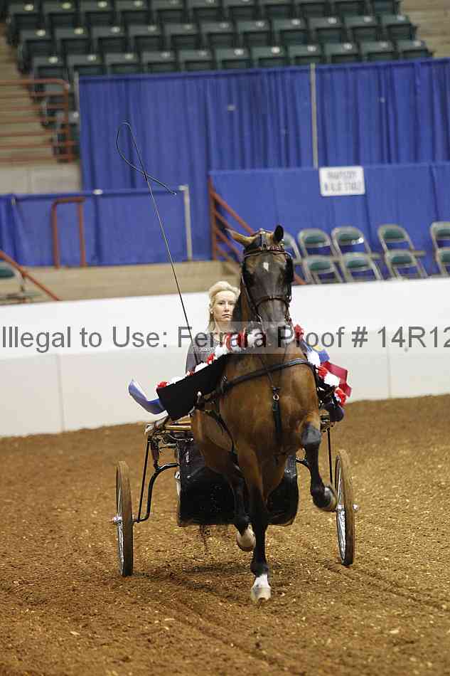 Proof Number 14r12_6762